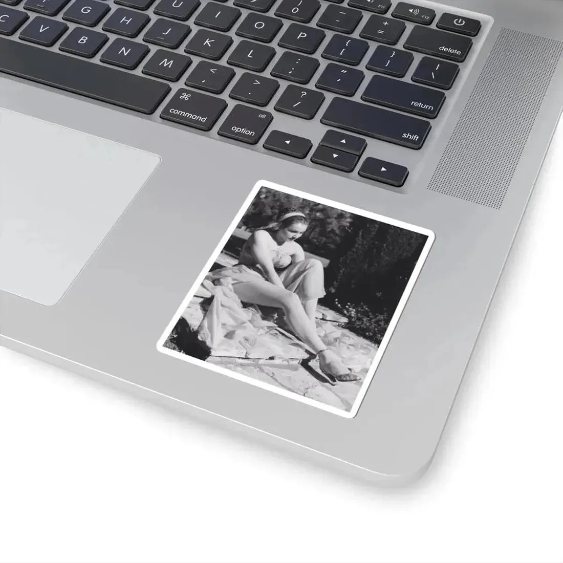 Julie Newmar #195 (Vintage Female Icon) STICKER Vinyl Kiss-Cut Decal - The Sticker Space