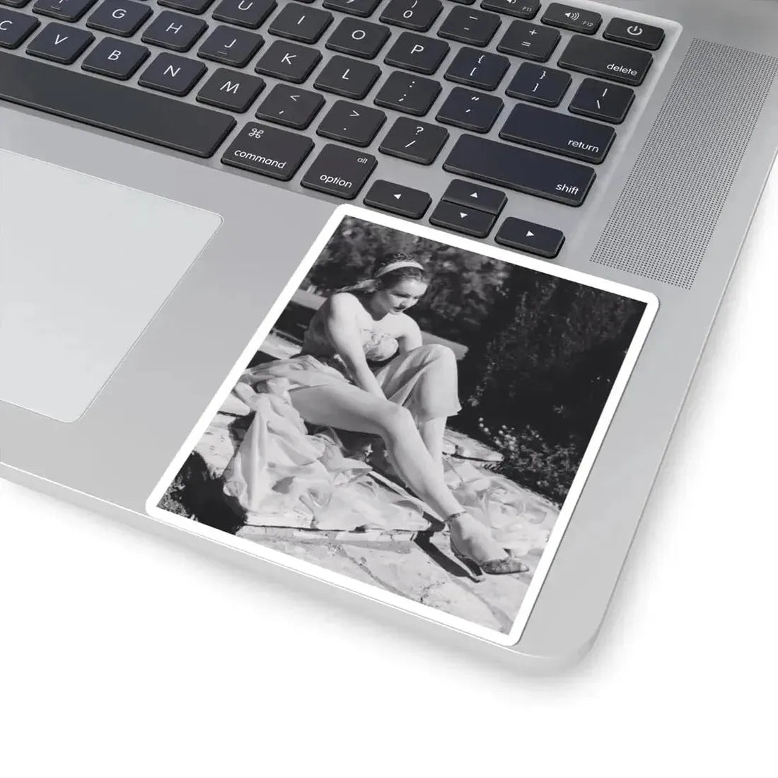 Julie Newmar #195 (Vintage Female Icon) STICKER Vinyl Kiss-Cut Decal - The Sticker Space