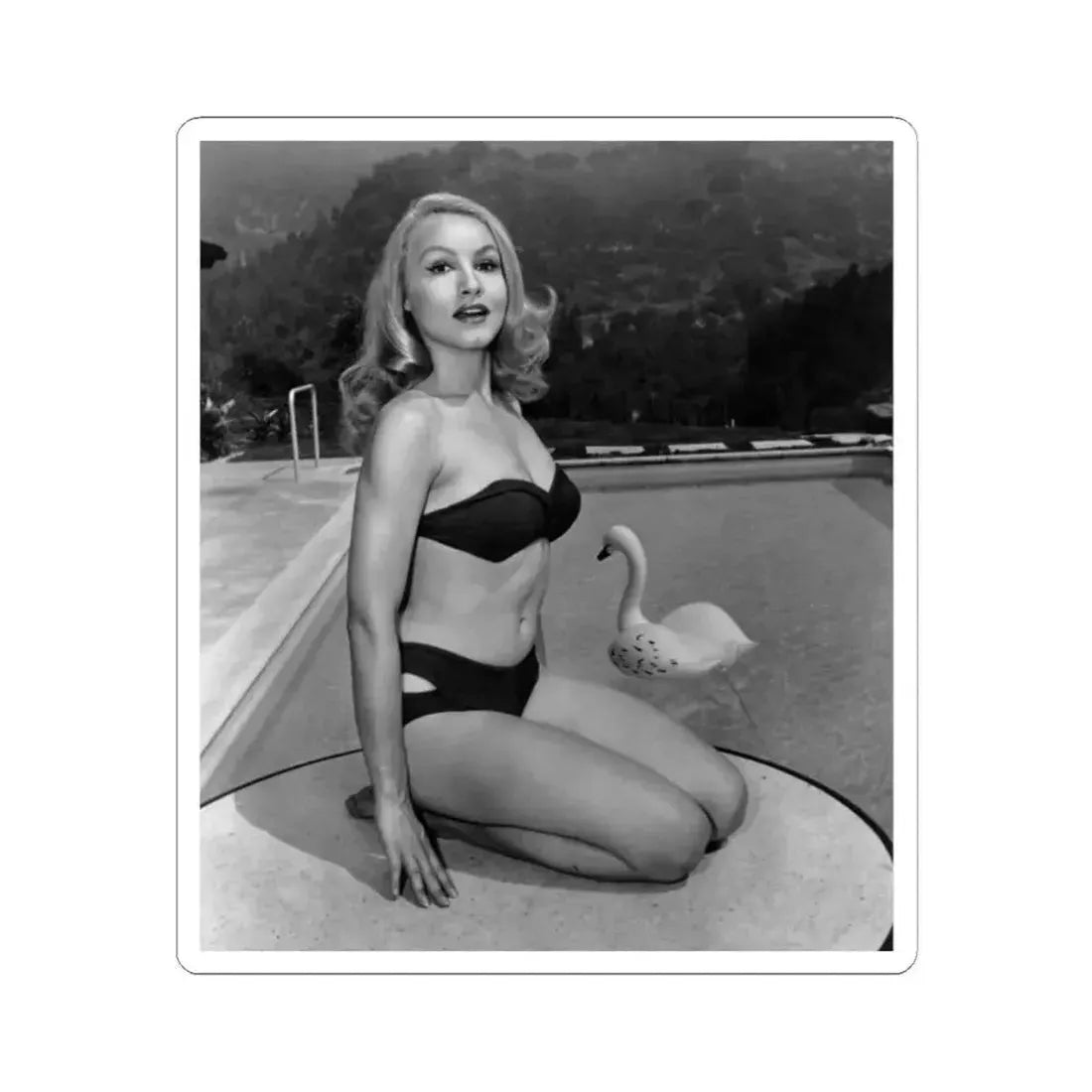 Julie Newmar #196 (Vintage Female Icon) STICKER Vinyl Kiss-Cut Decal 2 Inch White - The Sticker Space