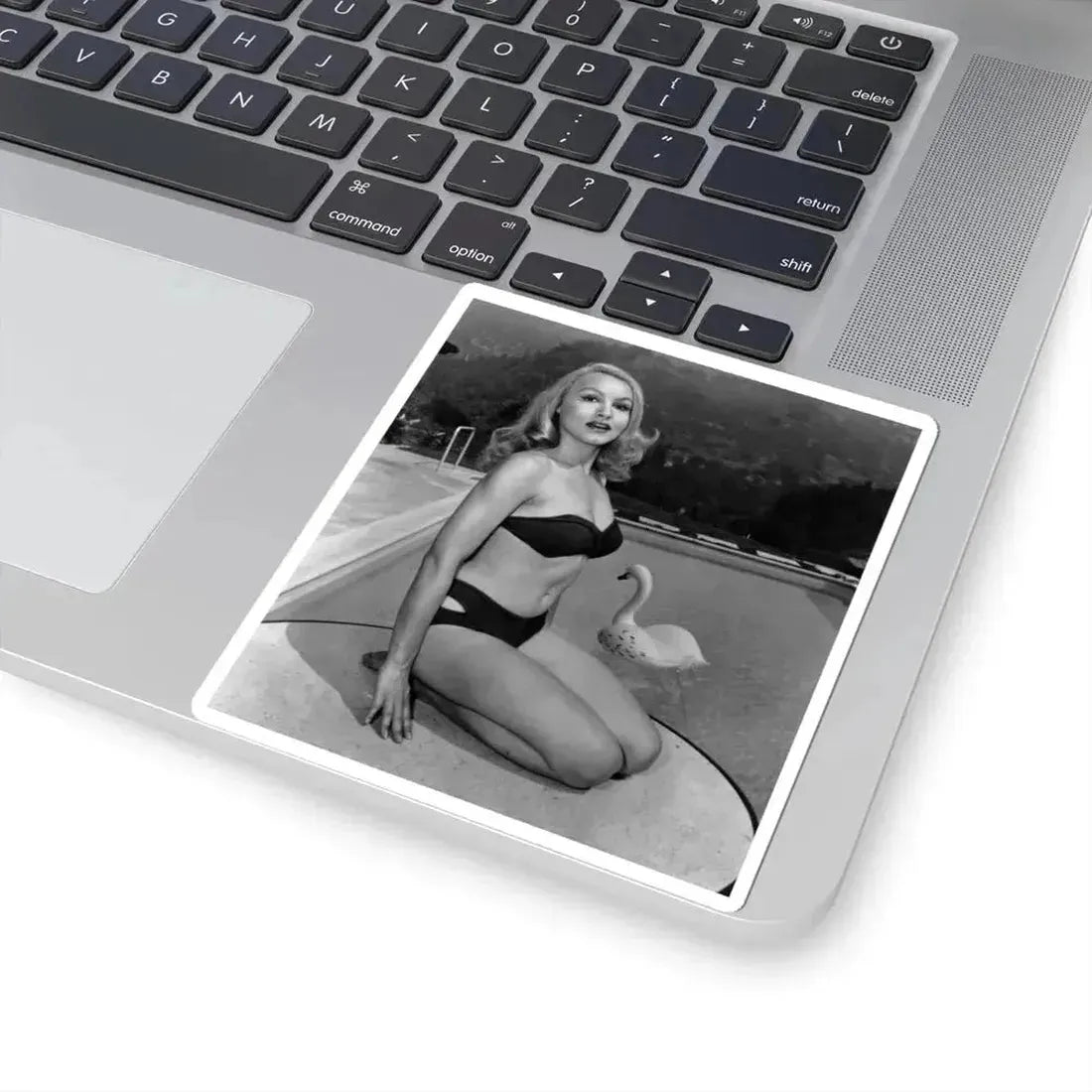 Julie Newmar #196 (Vintage Female Icon) STICKER Vinyl Kiss-Cut Decal - The Sticker Space