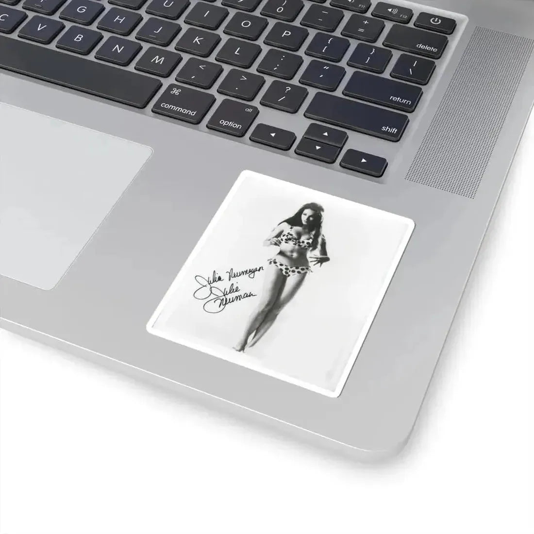 Julie Newmar #21 (Vintage Female Icon) STICKER Vinyl Kiss-Cut Decal - The Sticker Space