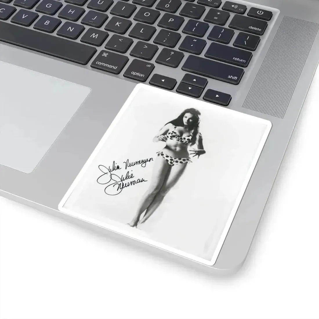 Julie Newmar #21 (Vintage Female Icon) STICKER Vinyl Kiss-Cut Decal - The Sticker Space