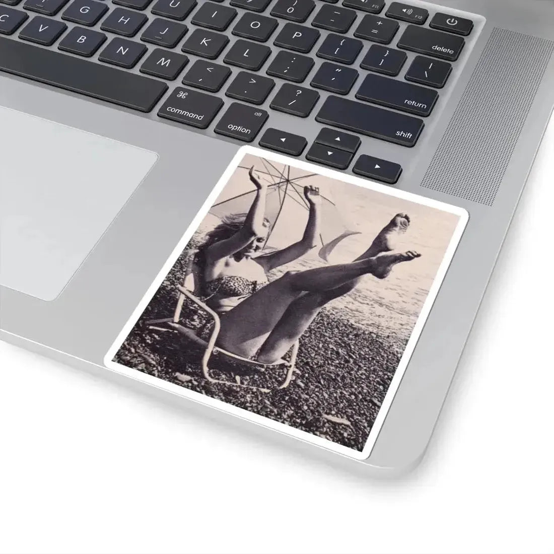 Julie Newmar #212 (Vintage Female Icon) STICKER Vinyl Kiss-Cut Decal - The Sticker Space