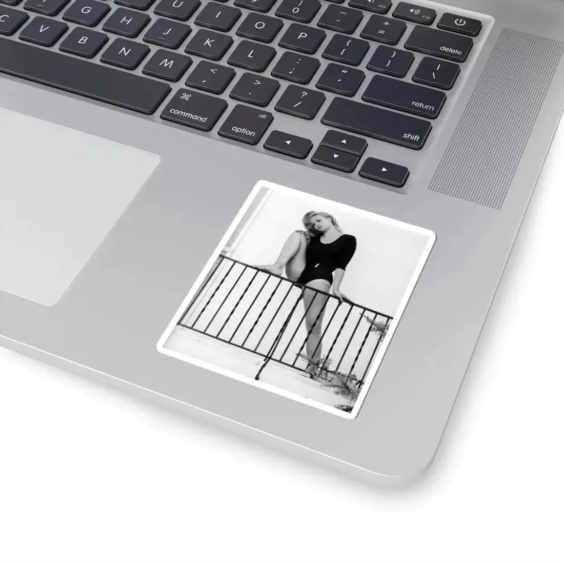 Julie Newmar #213 (Vintage Female Icon) STICKER Vinyl Kiss-Cut Decal - The Sticker Space