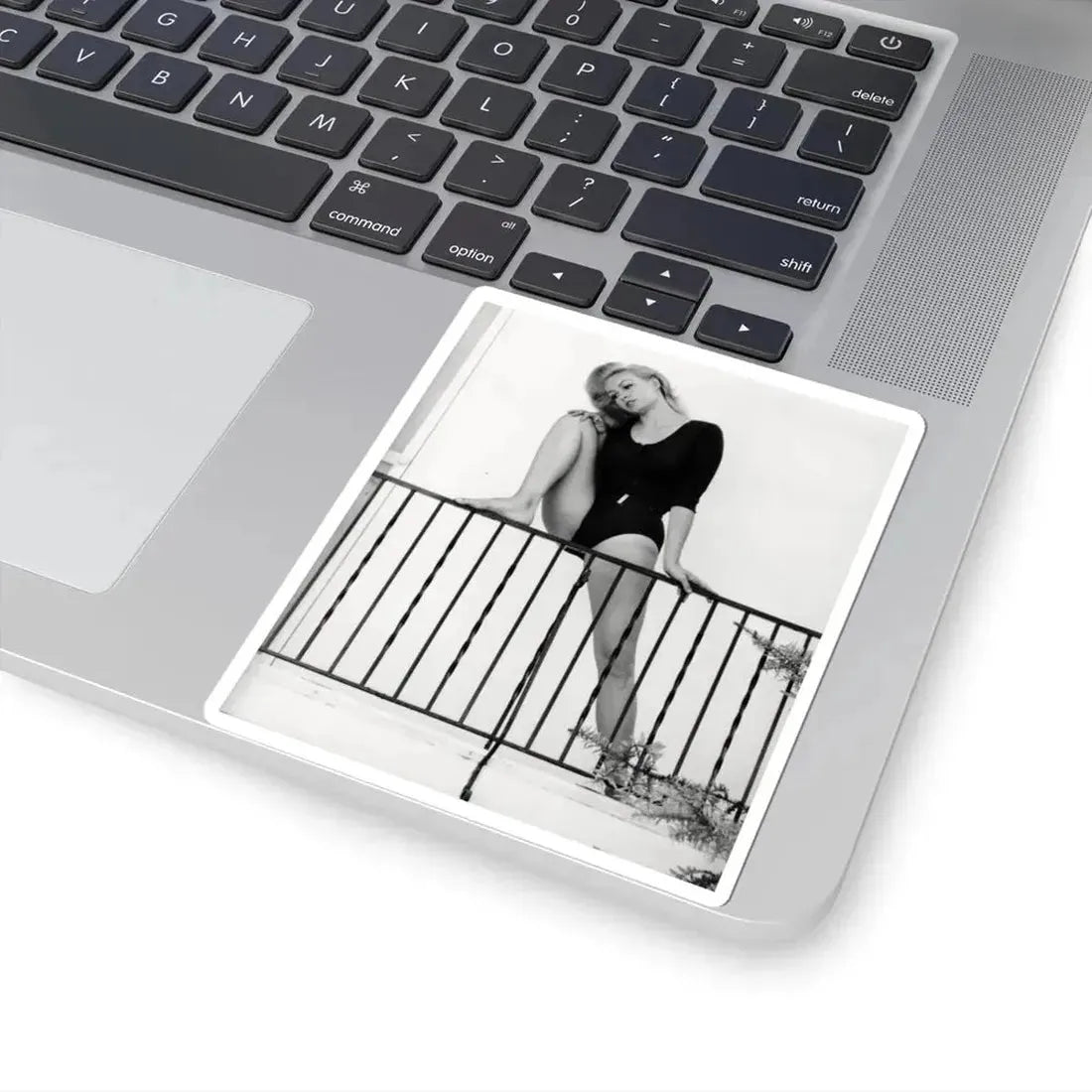 Julie Newmar #213 (Vintage Female Icon) STICKER Vinyl Kiss-Cut Decal - The Sticker Space