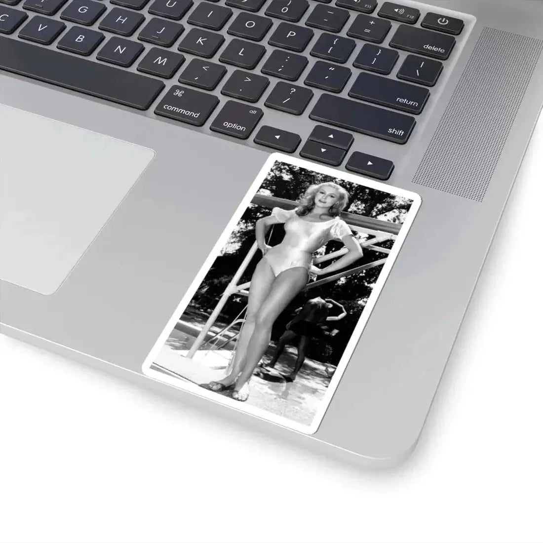 Julie Newmar #214 (Vintage Female Icon) STICKER Vinyl Kiss-Cut Decal - The Sticker Space