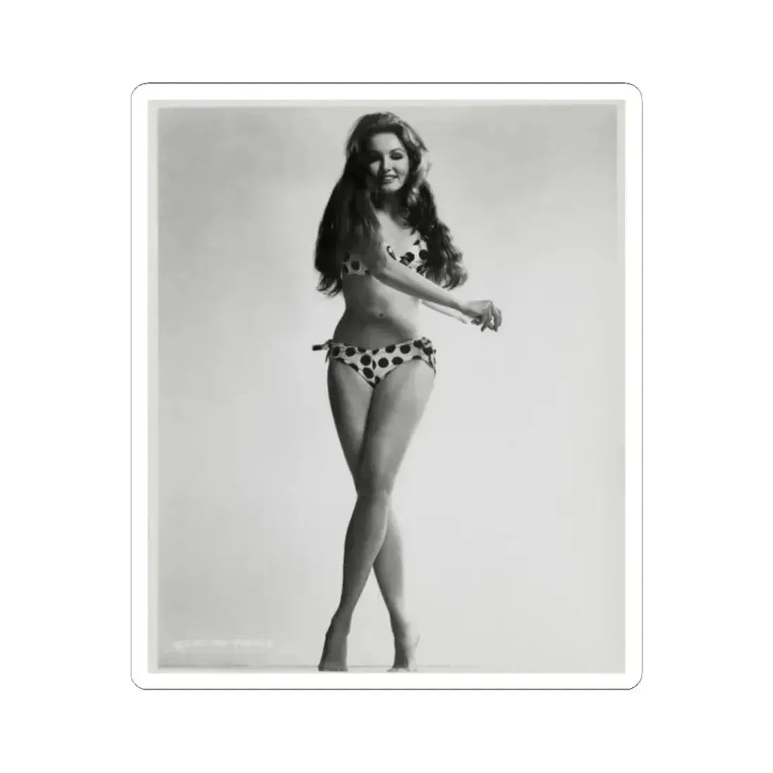 Julie Newmar #22 (Vintage Female Icon) STICKER Vinyl Kiss-Cut Decal 2 Inch White - The Sticker Space