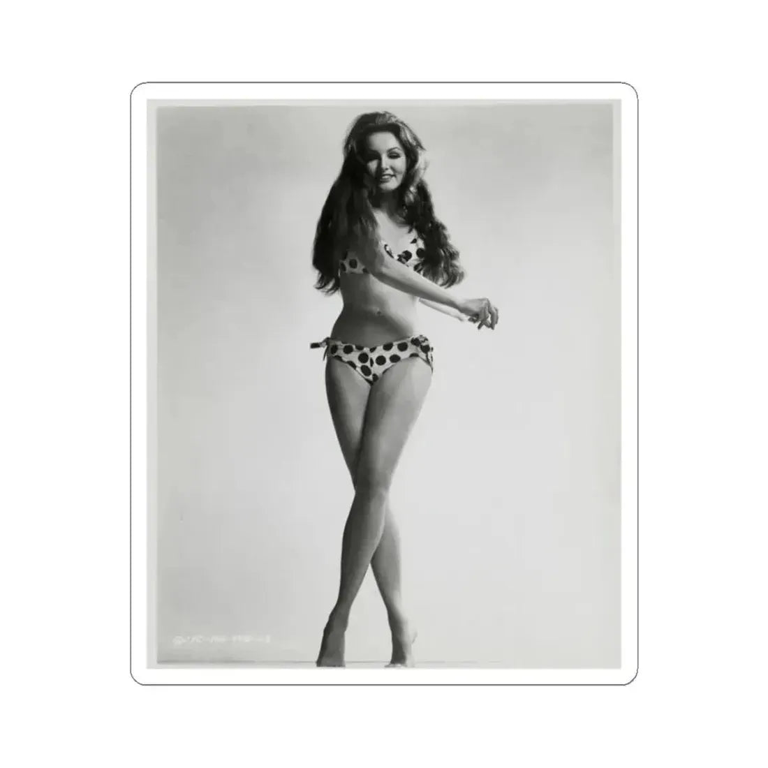 Julie Newmar #22 (Vintage Female Icon) STICKER Vinyl Kiss-Cut Decal 3 Inch White - The Sticker Space