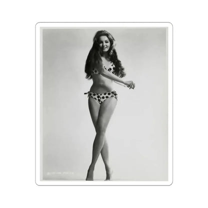 Julie Newmar #22 (Vintage Female Icon) STICKER Vinyl Kiss-Cut Decal 6 Inch White - The Sticker Space