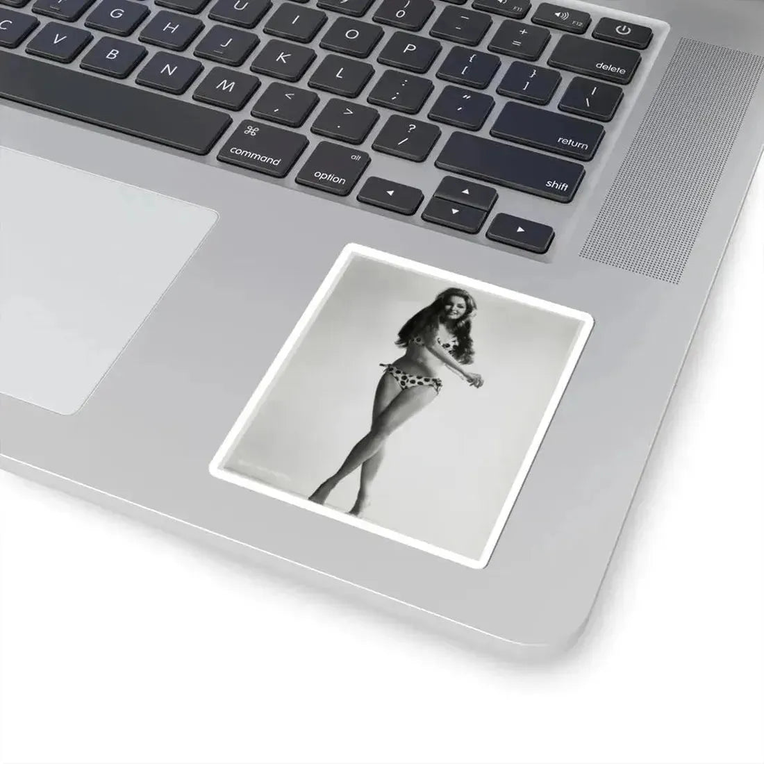 Julie Newmar #22 (Vintage Female Icon) STICKER Vinyl Kiss-Cut Decal - The Sticker Space