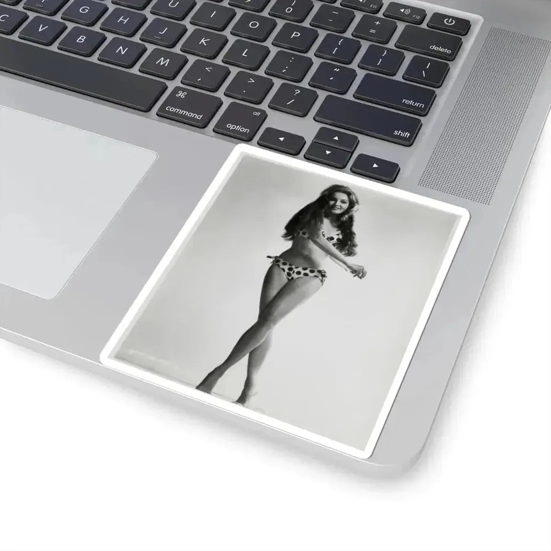 Julie Newmar #22 (Vintage Female Icon) STICKER Vinyl Kiss-Cut Decal - The Sticker Space