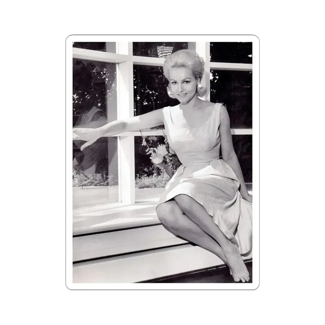 Julie Newmar #244 (Vintage Female Icon) STICKER Vinyl Kiss-Cut Decal 4 Inch White - The Sticker Space