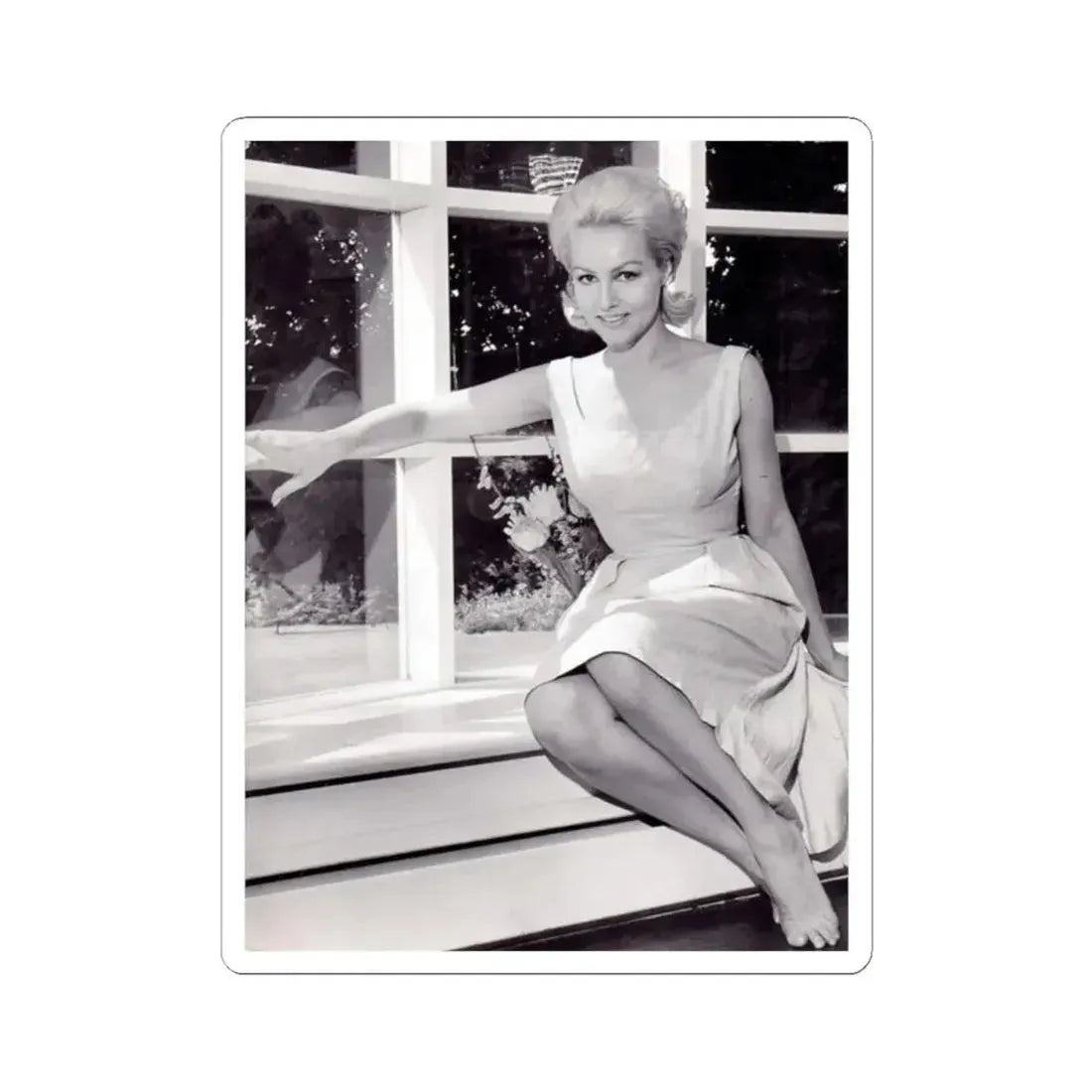 Julie Newmar #244 (Vintage Female Icon) STICKER Vinyl Kiss-Cut Decal - The Sticker Space