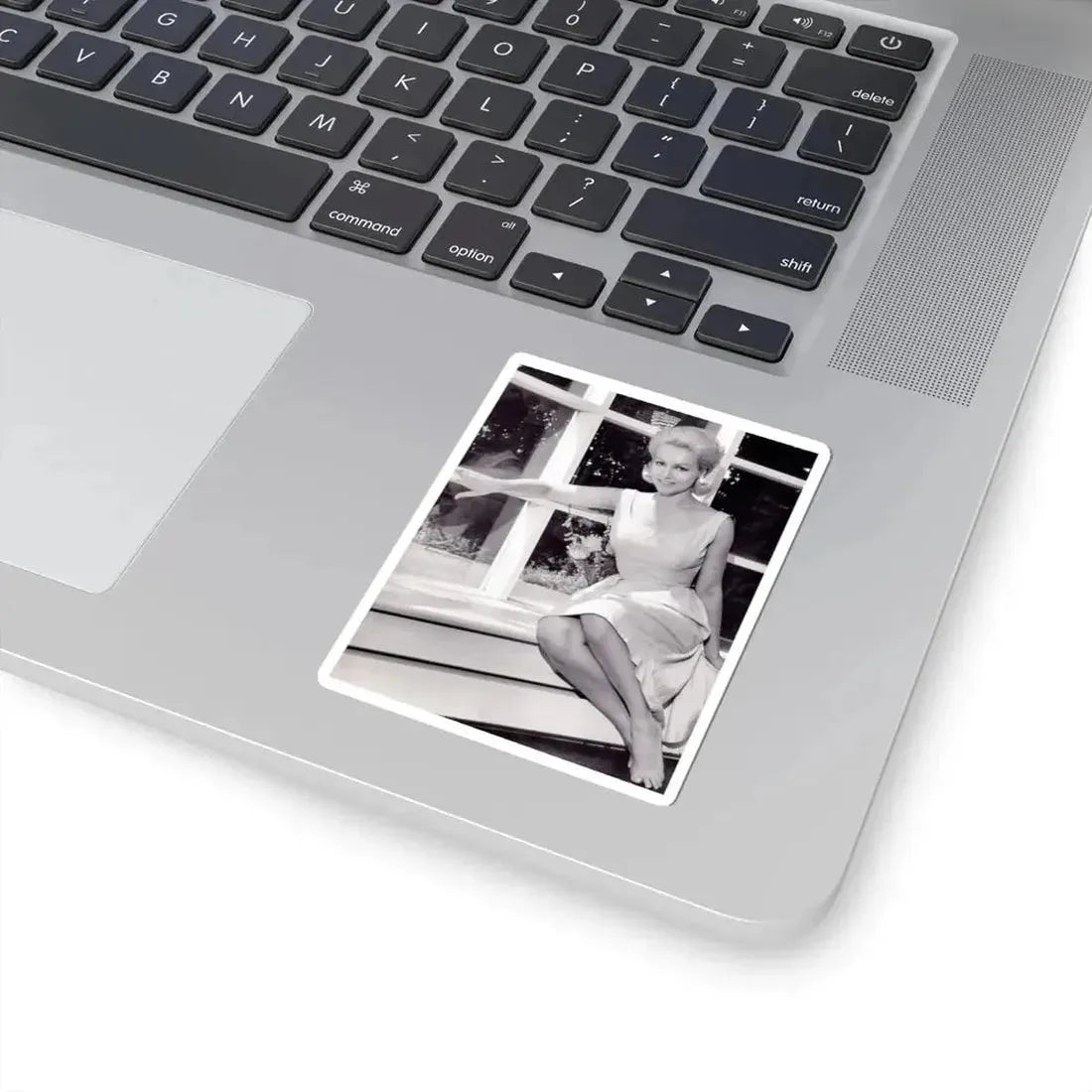 Julie Newmar #244 (Vintage Female Icon) STICKER Vinyl Kiss-Cut Decal - The Sticker Space