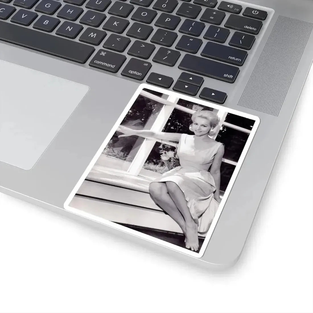 Julie Newmar #244 (Vintage Female Icon) STICKER Vinyl Kiss-Cut Decal - The Sticker Space