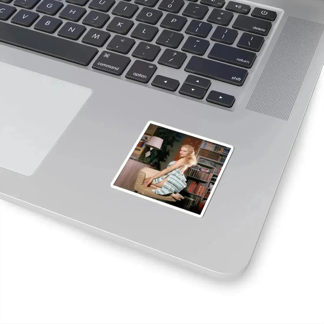 Julie Newmar #254 (Vintage Female Icon) STICKER Vinyl Kiss-Cut Decal - The Sticker Space