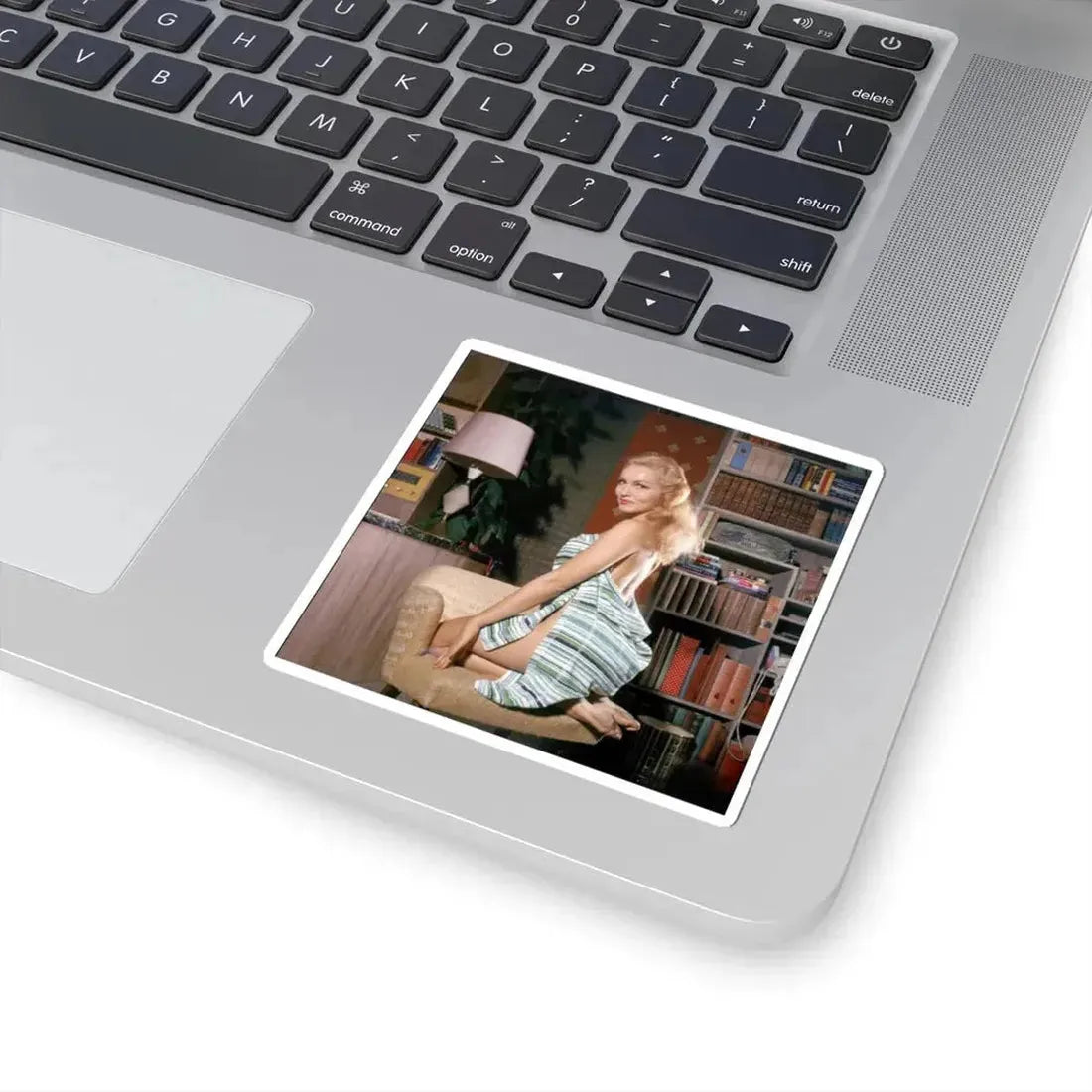 Julie Newmar #254 (Vintage Female Icon) STICKER Vinyl Kiss-Cut Decal - The Sticker Space