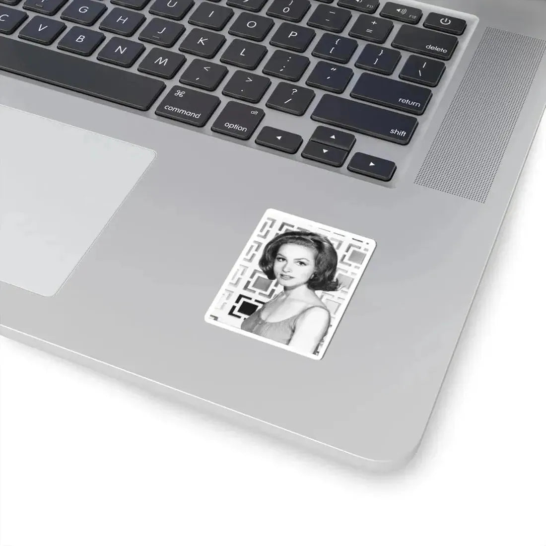 Julie Newmar #257 (Vintage Female Icon) STICKER Vinyl Kiss-Cut Decal - The Sticker Space