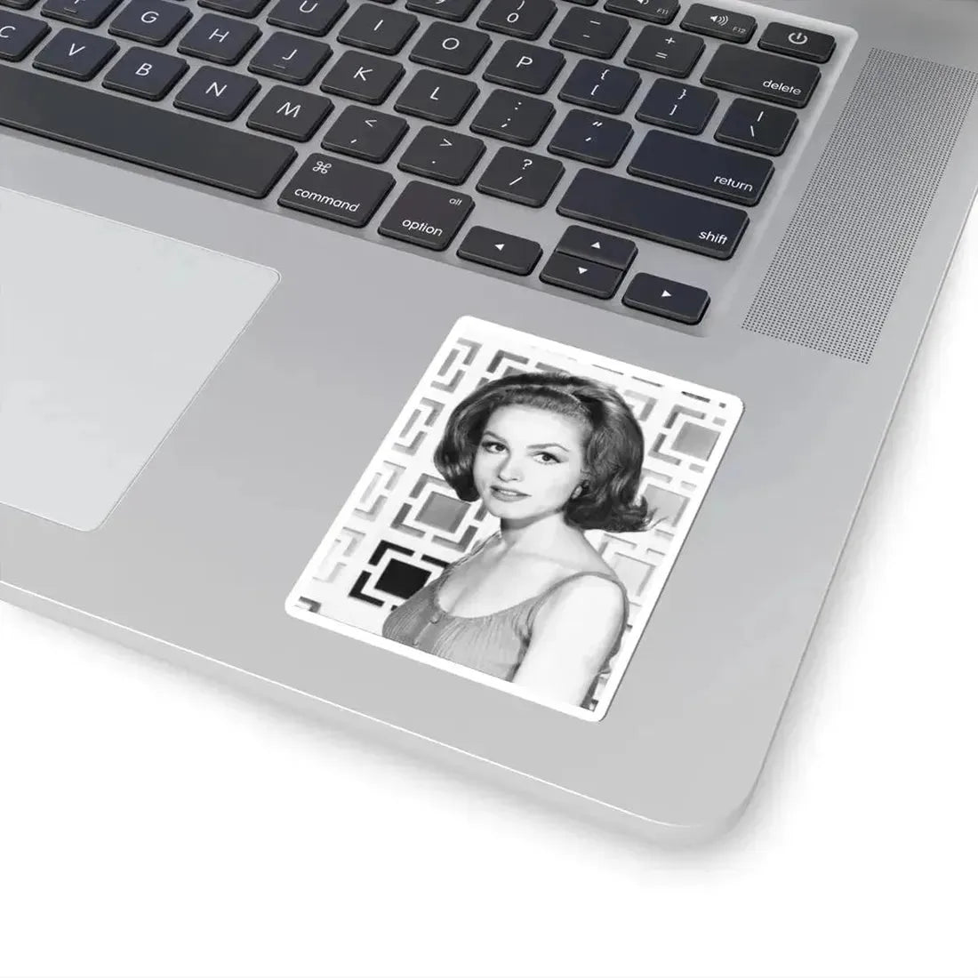 Julie Newmar #257 (Vintage Female Icon) STICKER Vinyl Kiss-Cut Decal - The Sticker Space