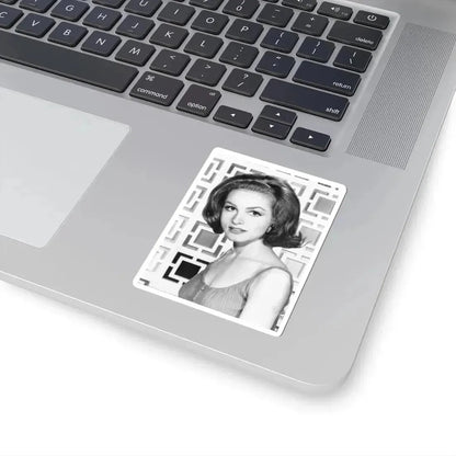 Julie Newmar #257 (Vintage Female Icon) STICKER Vinyl Kiss-Cut Decal - The Sticker Space