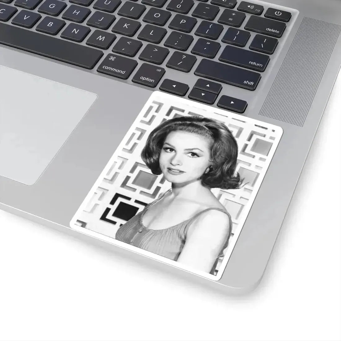 Julie Newmar #257 (Vintage Female Icon) STICKER Vinyl Kiss-Cut Decal - The Sticker Space