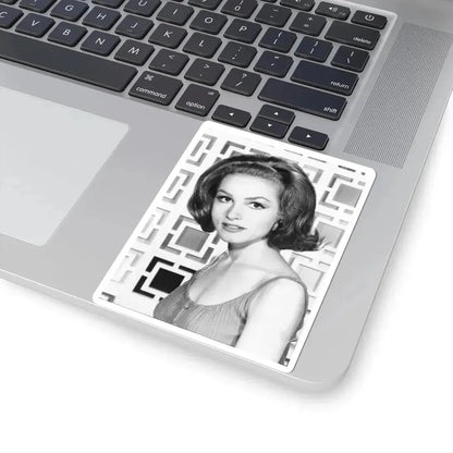 Julie Newmar #257 (Vintage Female Icon) STICKER Vinyl Kiss-Cut Decal - The Sticker Space