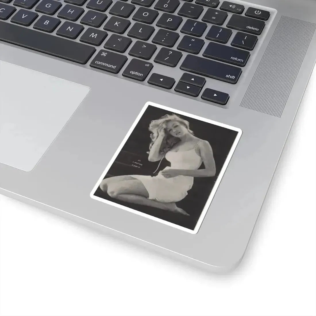 Julie Newmar #266 (Vintage Female Icon) STICKER Vinyl Kiss-Cut Decal - The Sticker Space