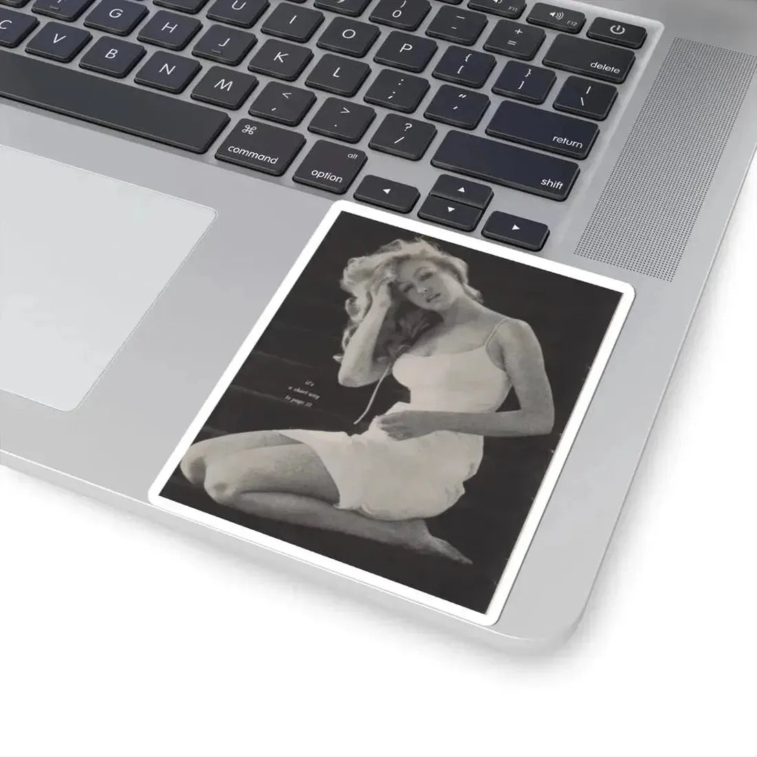 Julie Newmar #266 (Vintage Female Icon) STICKER Vinyl Kiss-Cut Decal - The Sticker Space