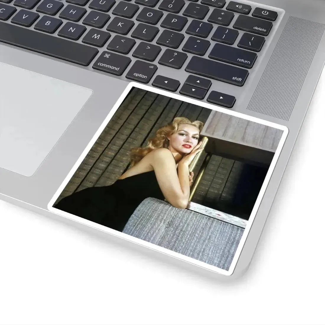 Julie Newmar #286 (Vintage Female Icon) STICKER Vinyl Kiss-Cut Decal - The Sticker Space