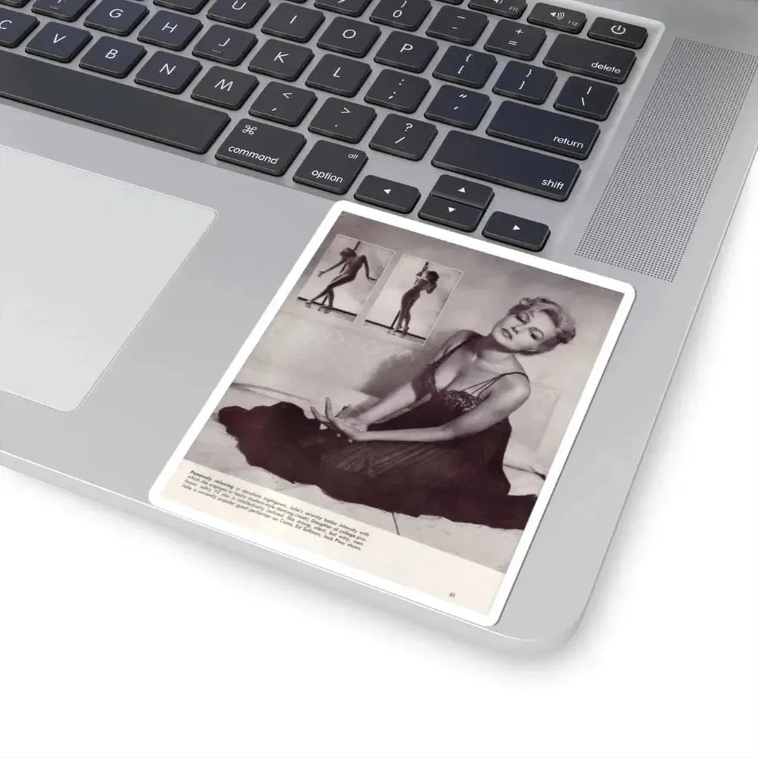 Julie Newmar #288 (Vintage Female Icon) STICKER Vinyl Kiss-Cut Decal - The Sticker Space