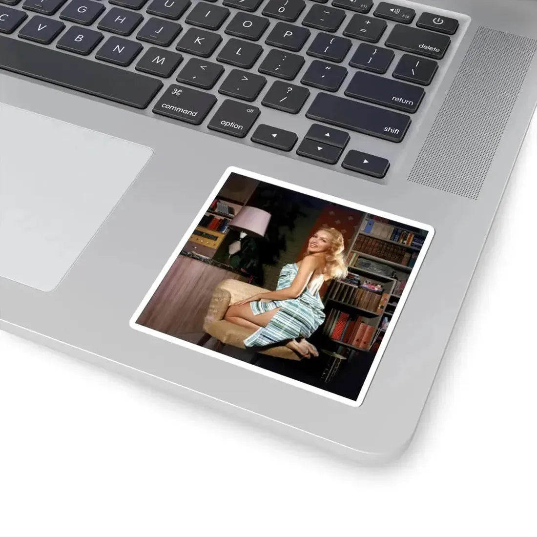 Julie Newmar #289 (Vintage Female Icon) STICKER Vinyl Kiss-Cut Decal - The Sticker Space