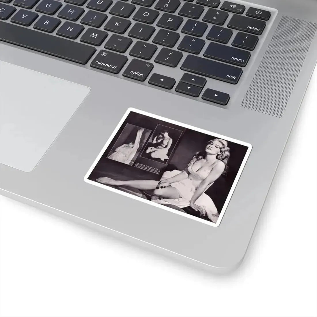 Julie Newmar #297 (Vintage Female Icon) STICKER Vinyl Kiss-Cut Decal - The Sticker Space