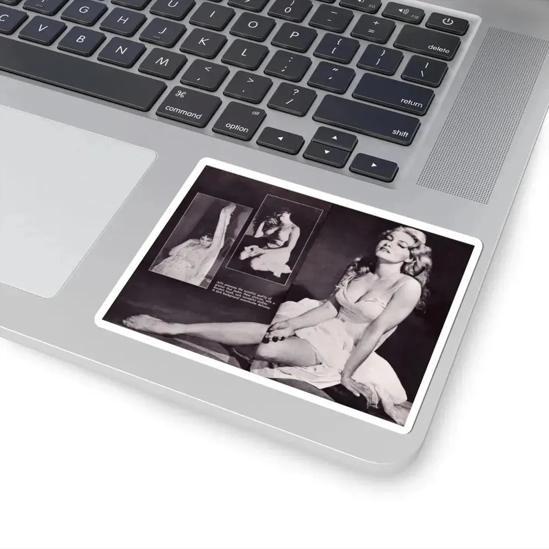 Julie Newmar #297 (Vintage Female Icon) STICKER Vinyl Kiss-Cut Decal - The Sticker Space