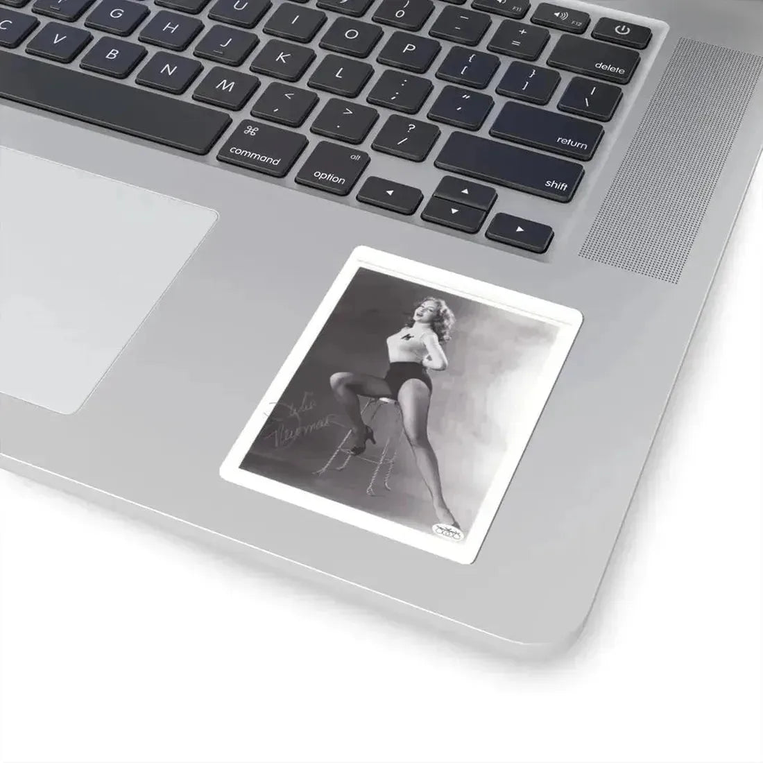 Julie Newmar #32 (Vintage Female Icon) STICKER Vinyl Kiss-Cut Decal - The Sticker Space