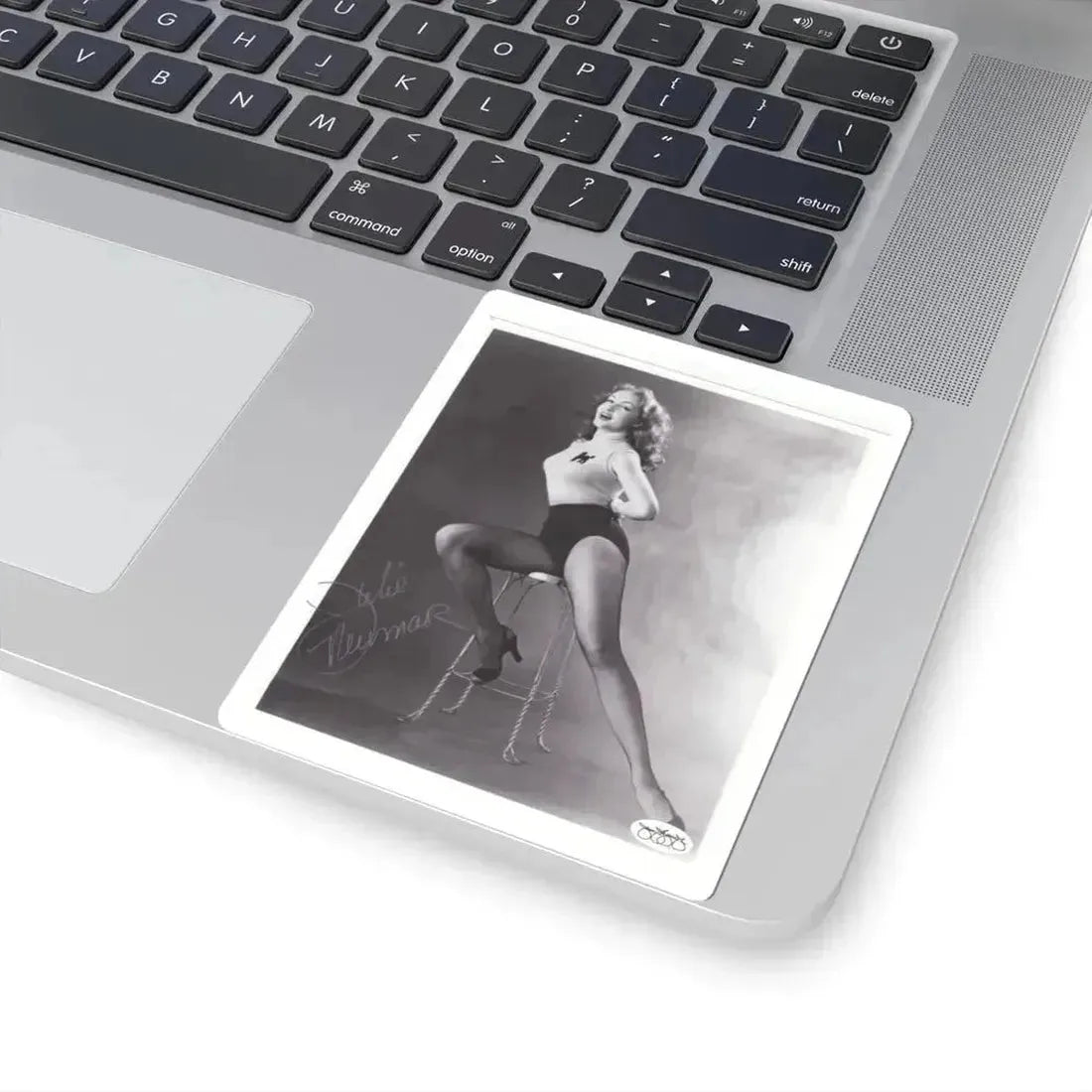 Julie Newmar #32 (Vintage Female Icon) STICKER Vinyl Kiss-Cut Decal - The Sticker Space