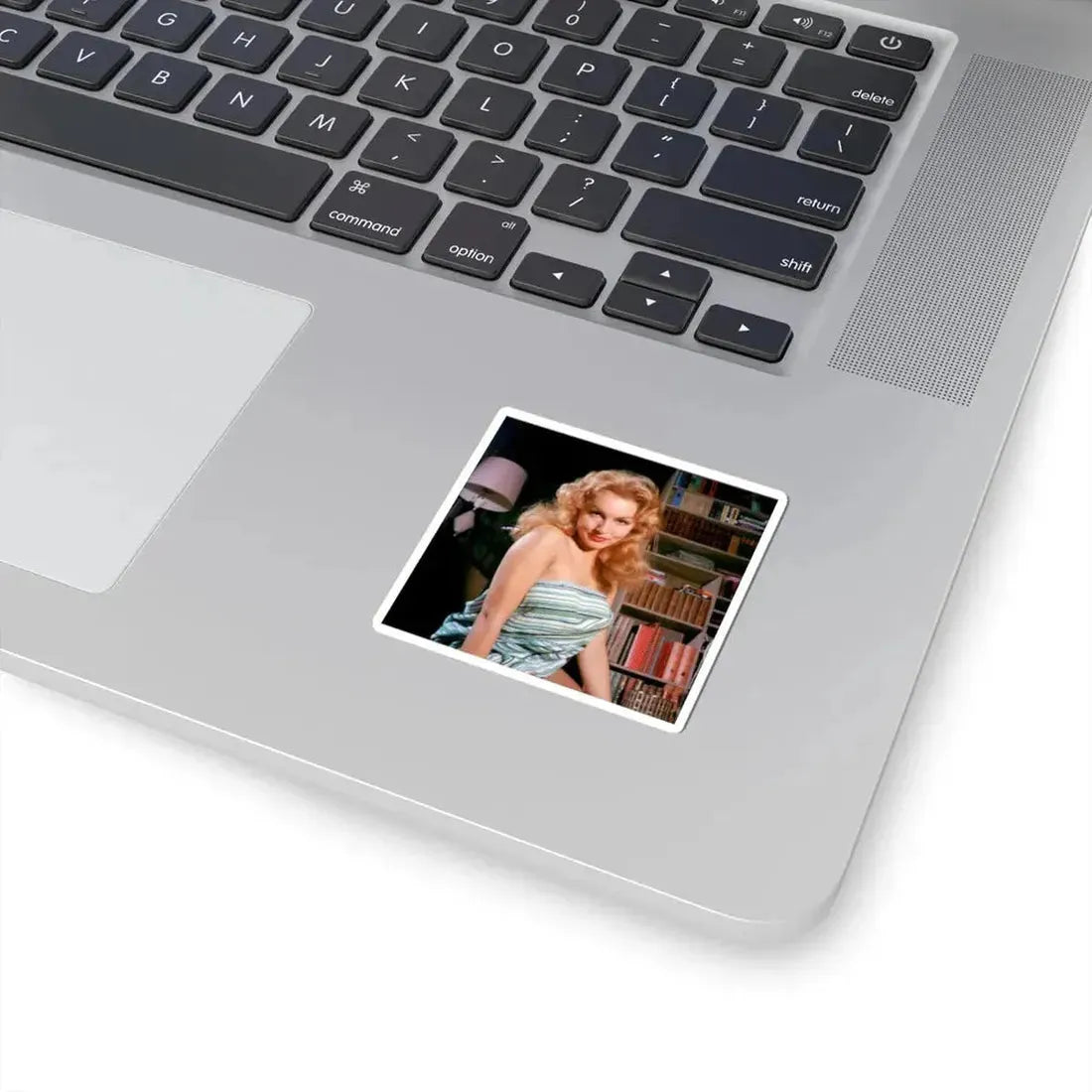Julie Newmar #321 (Vintage Female Icon) STICKER Vinyl Kiss-Cut Decal - The Sticker Space