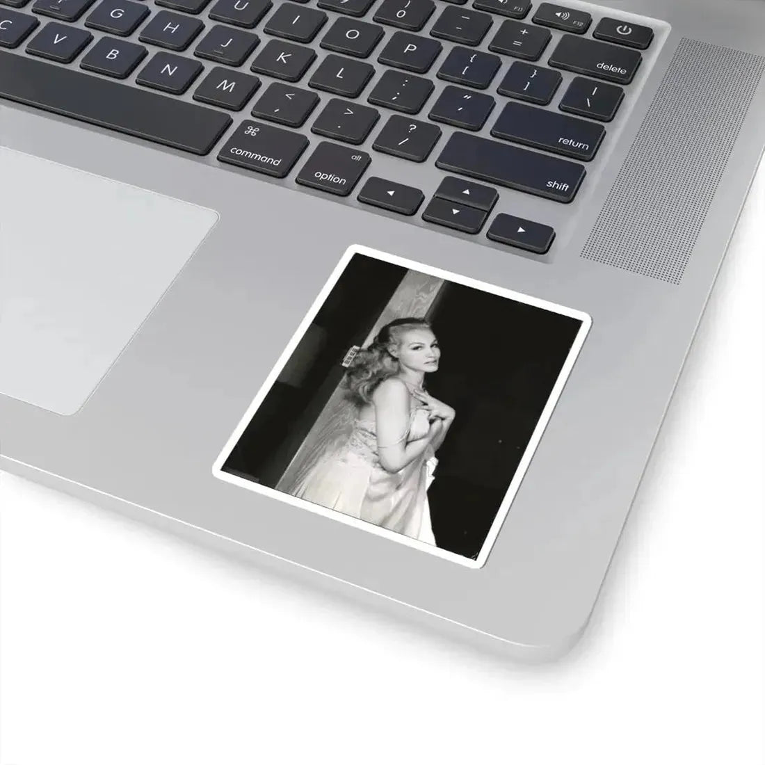 Julie Newmar #322 (Vintage Female Icon) STICKER Vinyl Kiss-Cut Decal - The Sticker Space