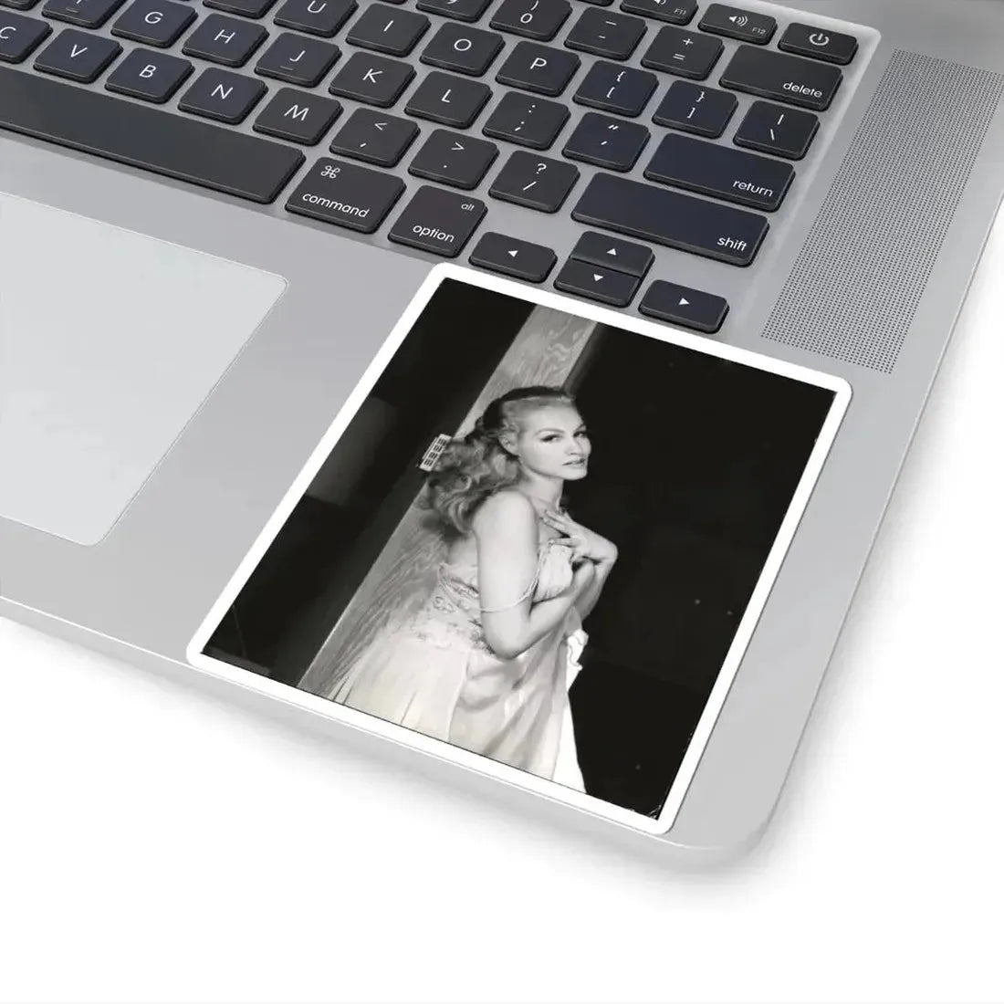 Julie Newmar #322 (Vintage Female Icon) STICKER Vinyl Kiss-Cut Decal - The Sticker Space