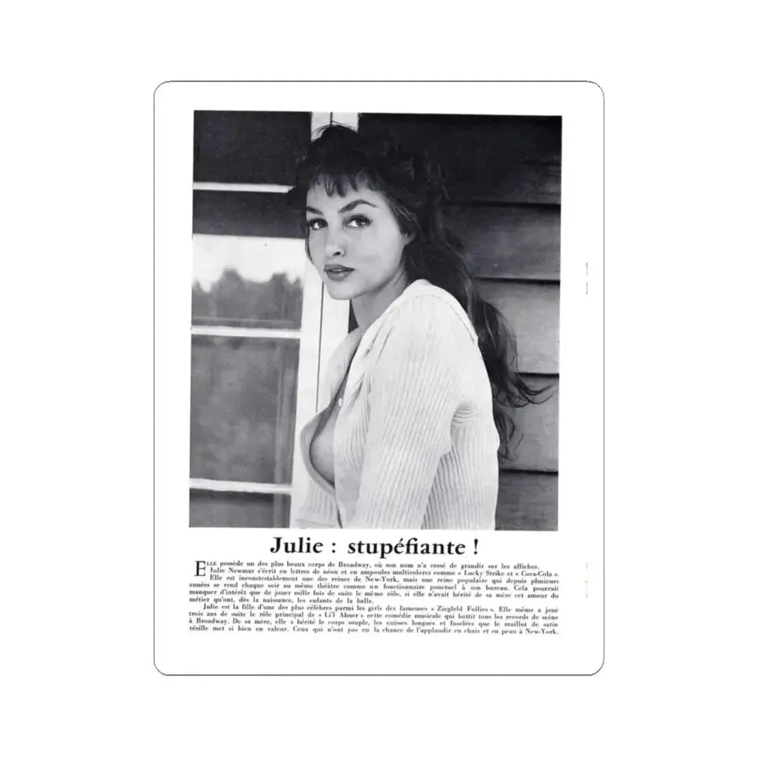 Julie Newmar #326 (Vintage Female Icon) STICKER Vinyl Kiss-Cut Decal 4 Inch White - The Sticker Space