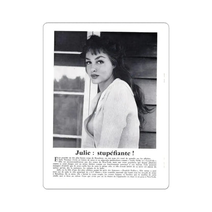 Julie Newmar #326 (Vintage Female Icon) STICKER Vinyl Kiss-Cut Decal 6 Inch White - The Sticker Space