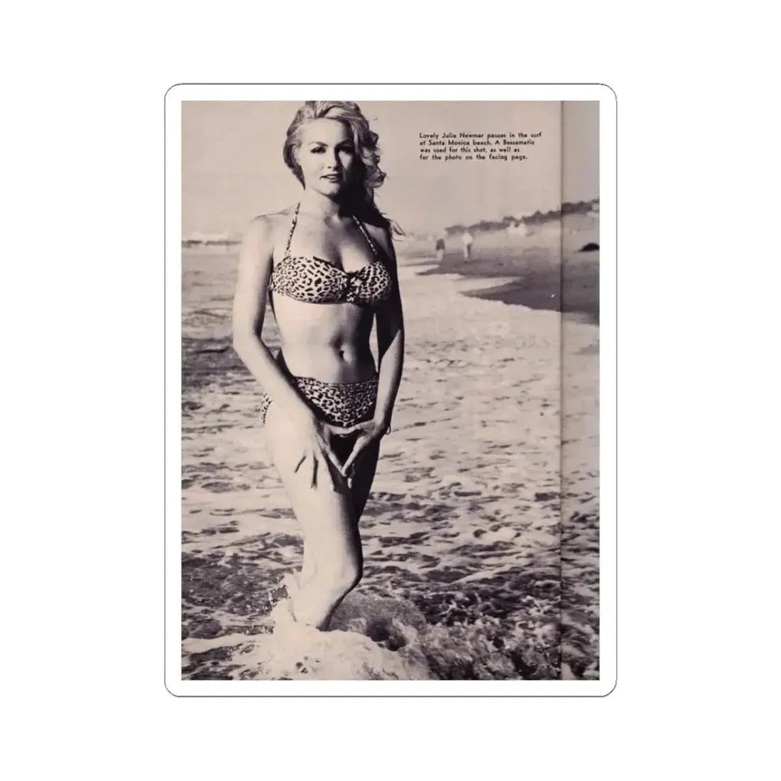 Julie Newmar #338 (Vintage Female Icon) STICKER Vinyl Kiss-Cut Decal 3 Inch White - The Sticker Space