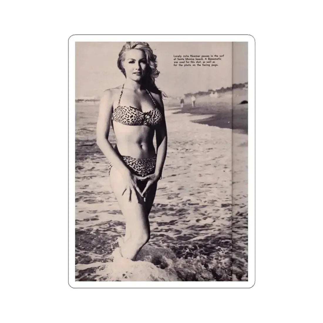 Julie Newmar #338 (Vintage Female Icon) STICKER Vinyl Kiss-Cut Decal 6 Inch White - The Sticker Space
