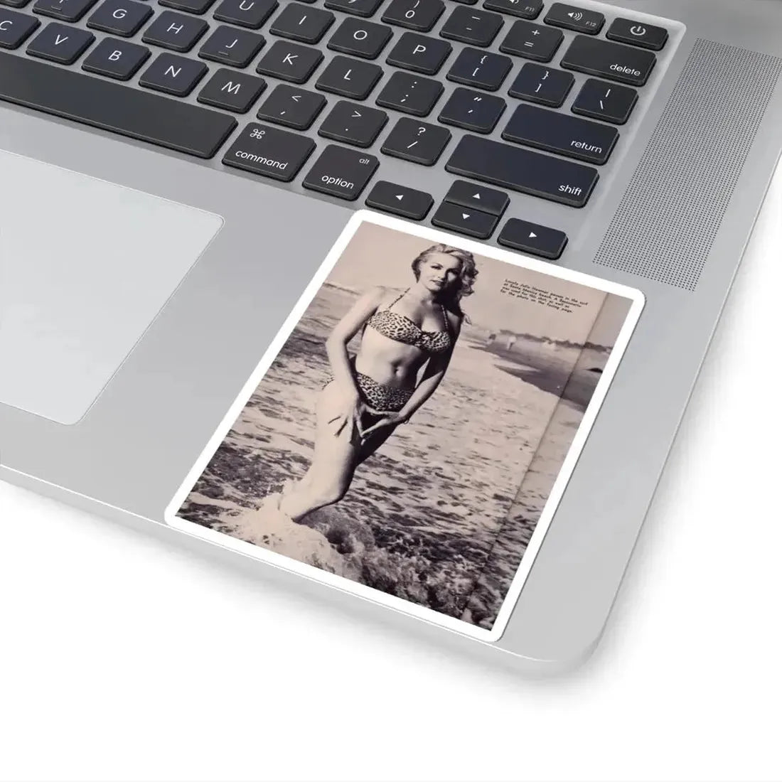 Julie Newmar #338 (Vintage Female Icon) STICKER Vinyl Kiss-Cut Decal - The Sticker Space
