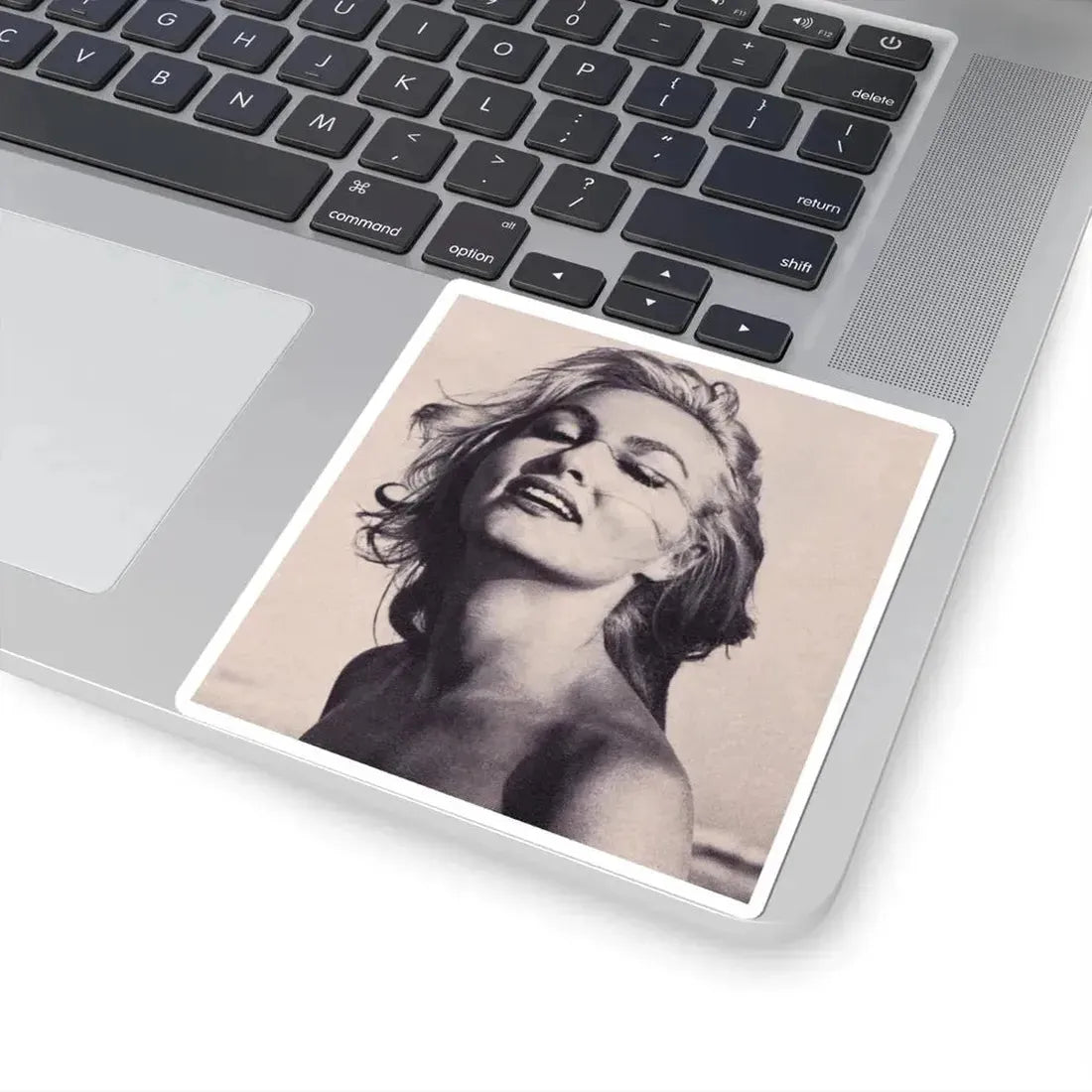 Julie Newmar #339 (Vintage Female Icon) STICKER Vinyl Kiss-Cut Decal - The Sticker Space