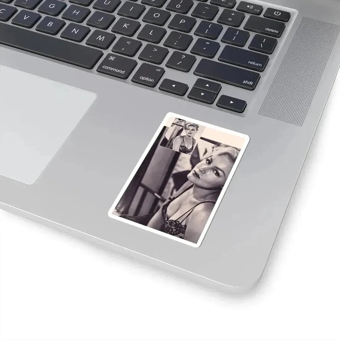 Julie Newmar #345 (Vintage Female Icon) STICKER Vinyl Kiss-Cut Decal - The Sticker Space