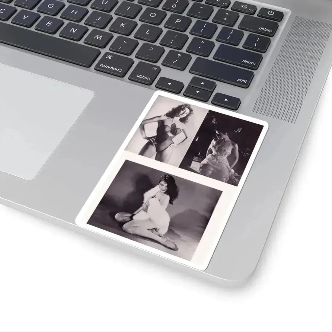 Julie Newmar #346 (Vintage Female Icon) STICKER Vinyl Kiss-Cut Decal - The Sticker Space