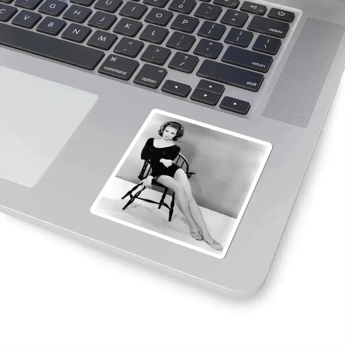 Julie Newmar #35 (Vintage Female Icon) STICKER Vinyl Kiss-Cut Decal - The Sticker Space