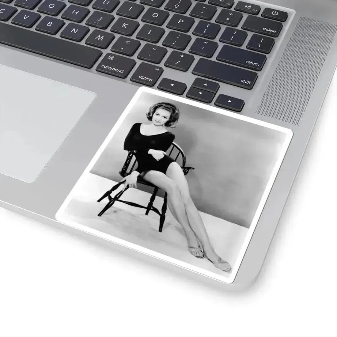 Julie Newmar #35 (Vintage Female Icon) STICKER Vinyl Kiss-Cut Decal - The Sticker Space