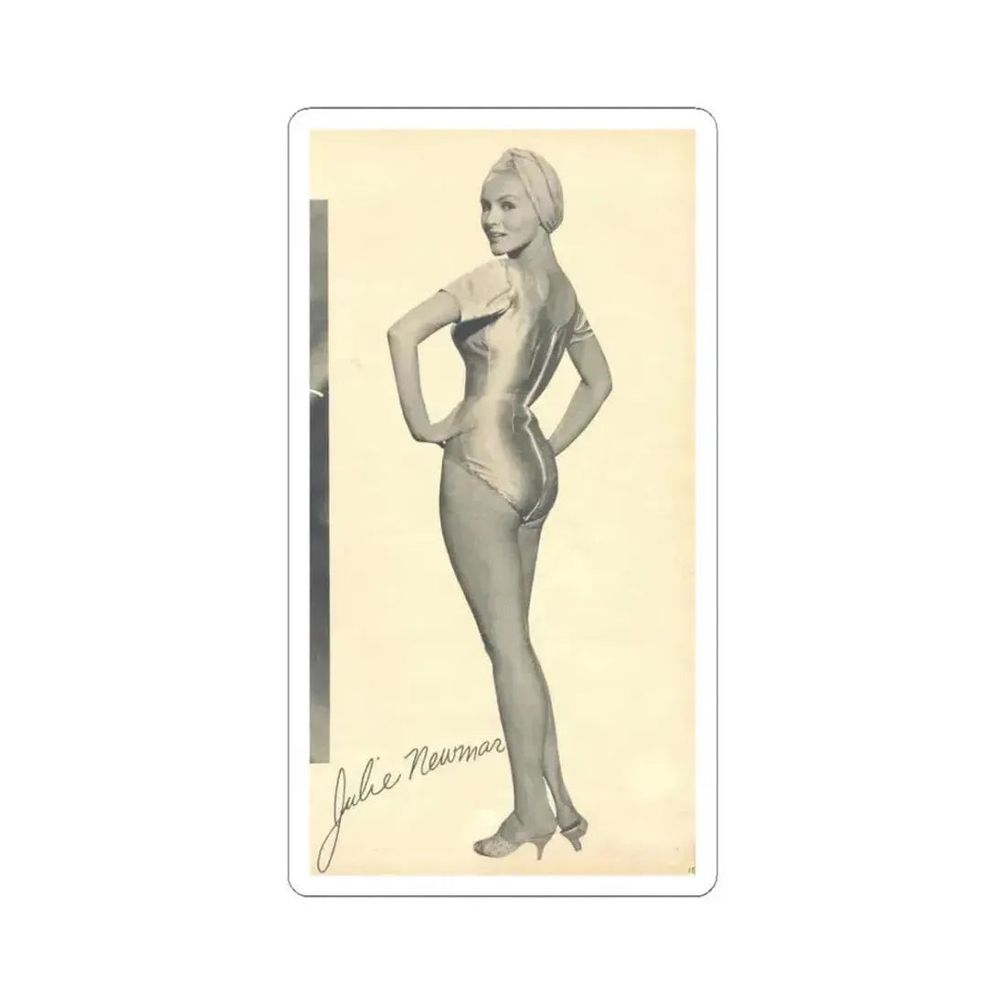 Julie Newmar #355 (Vintage Female Icon) STICKER Vinyl Kiss-Cut Decal 3 Inch White - The Sticker Space