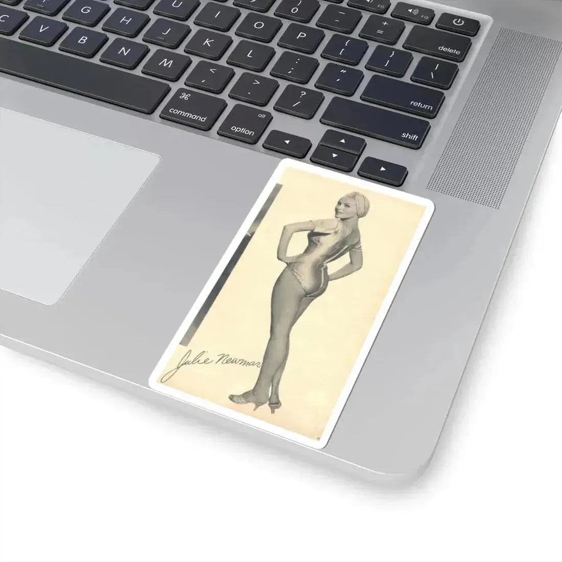 Julie Newmar #355 (Vintage Female Icon) STICKER Vinyl Kiss-Cut Decal - The Sticker Space